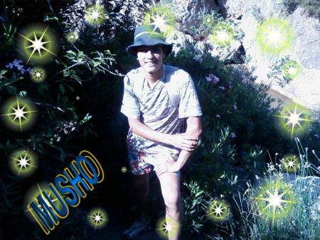 MUSHO